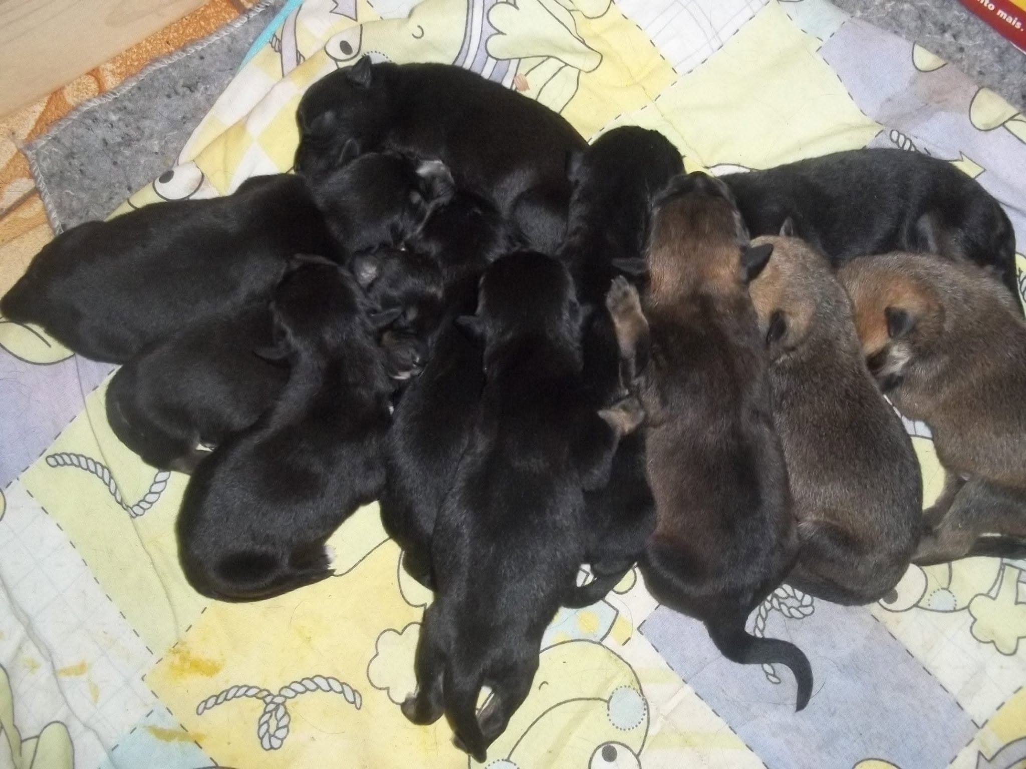 Foto 6